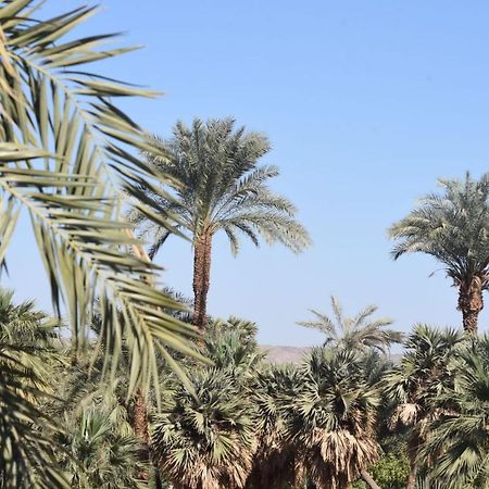 Nubian Queen Guest House Assuan Esterno foto